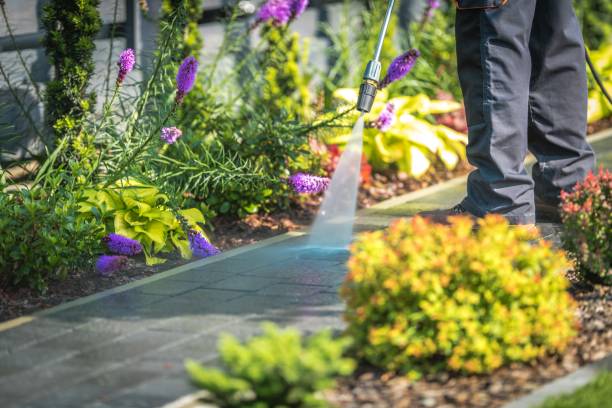 Reliable Crestview Hills, KY Pressure Washing Services Solutions